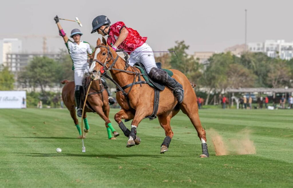 Finals of the Bentley Emirates Silver Cup
