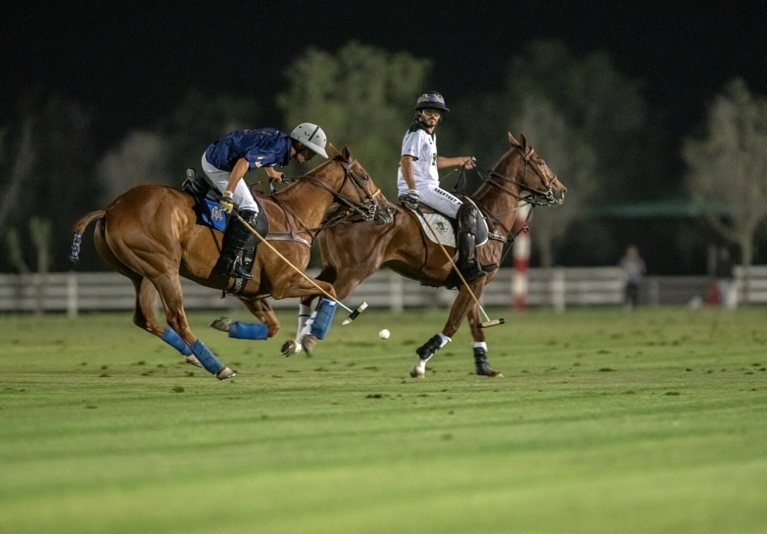 Photo Gallery - UAE Polo Federation